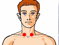 Collarbone point