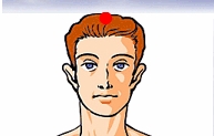 Top of the head point