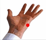 Karate-chop point marked with red dot